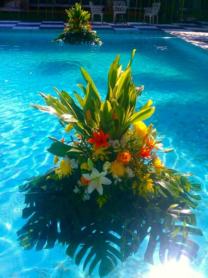 Imagen_6